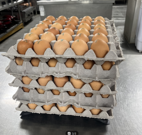 331e39762c9f0e3c4a047658d5d5be16_1773622261_085.png 331e39762c9f0e3c4a047658d5d5be16_1773622261_085.png