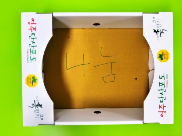 비워진 포도 상자